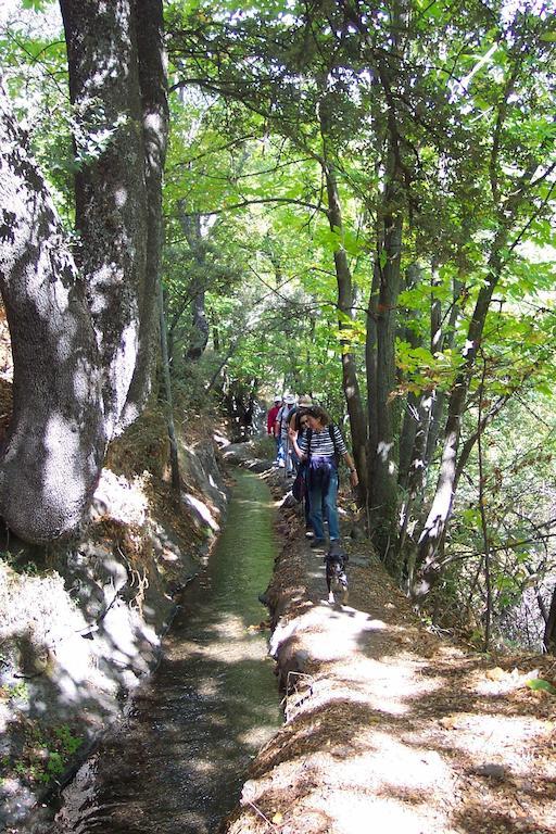 Alojamiento Rural Mirador Del Avellano Alpujarra De La Sierra Luaran gambar